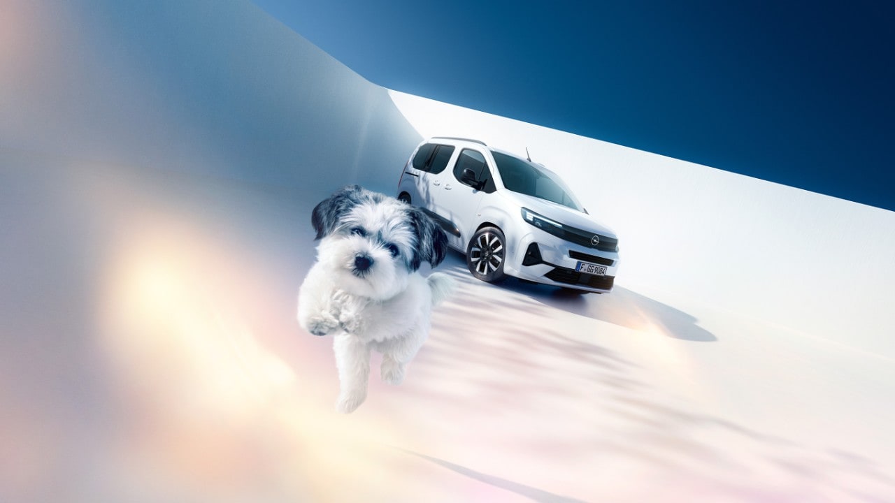 Pogled sa prednje strane na beli Opel Combo i psa