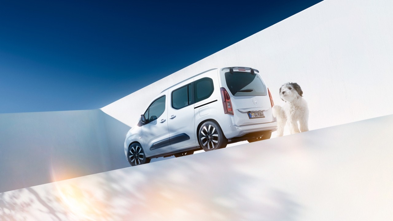 Pogled sa zadnje strane na beli Opel Combo i psa pored Vallbok punjača